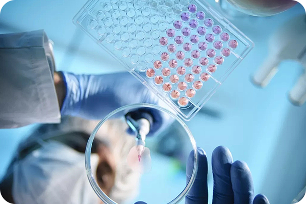 Flow Cytometry Assay（FCM）