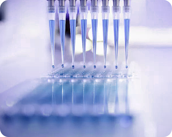 Mouse Monoclonal Antibodies